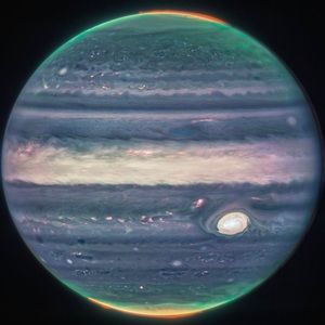 Meet your Posher, Kara